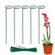 Pack Of 5__EXALT