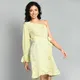 Yellow__Elanmate
