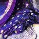 Purple__Royal Rajgharana Sarees