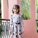 Grey__Gokids