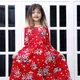 Red__Gokids