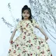 Mustard__Gokids
