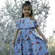 grey__Gokids