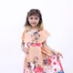Orange__Gokids
