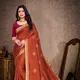 Brown__INDIAN WOMEN FASHIONS PVT LTD