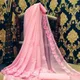 Pink__Fairy Blue