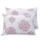 White (Mauve Print)__Huesland