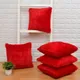 FURR RED__Wellnest