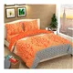 Orange__KALASHREE HOMZ