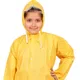 Yellow__Ketkar