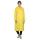 Yellow__Ketkar