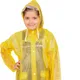 Yellow__Ketkar