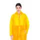 Yellow__Ketkar