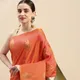 Orange__Royal Rajgharana Sarees