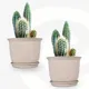 Sand Castle__Eha.eco