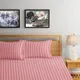 Coral__Luxury Cube