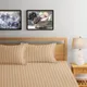 Light Beige__Luxury Cube