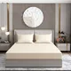 Multicolor__Bedsheet guru
