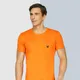 Neon Orange__Lyriss