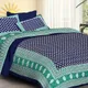 Blue__Quilt N Razai 