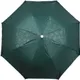 Green__KK