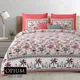 Pink__Quilt N Razai 