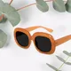 Orange__PETER JONES EYEWEAR