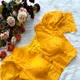 YELLOW__WOMENIA FASHION 