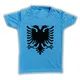 Blue__RISH Lifestyles