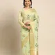 Pista__REKHA MANIYAR