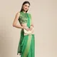 Parrotgreen__REKHA MANIYAR