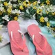 PINK__Fosty