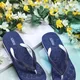 NAVY BLUE__Fosty