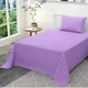 Wisteria Purple__Quilt N Razai 