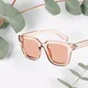 Transparent & Brown__PETER JONES EYEWEAR