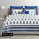 Blue__Quilt N Razai 
