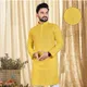 Yellow__Nelkar