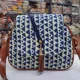 Blue__Raj ladies purse