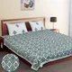 Dolphin Blue__Quilt N Razai 