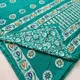 Teal__Snazzy Style
