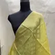 Yellow__Humairah