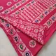 Pink__Snazzy Style