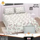 Multi Color__Bedsheet Adda
