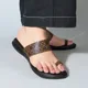 Brown__TWINSSHOE