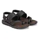 Brown__G L Trend