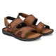 Tan__G L Trend