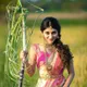 Cream__RADHI FASHION