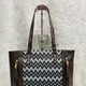 Black__Raj ladies purse