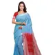 Electric Blue & Red__OmenSilks