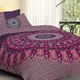 Purple__Pink City